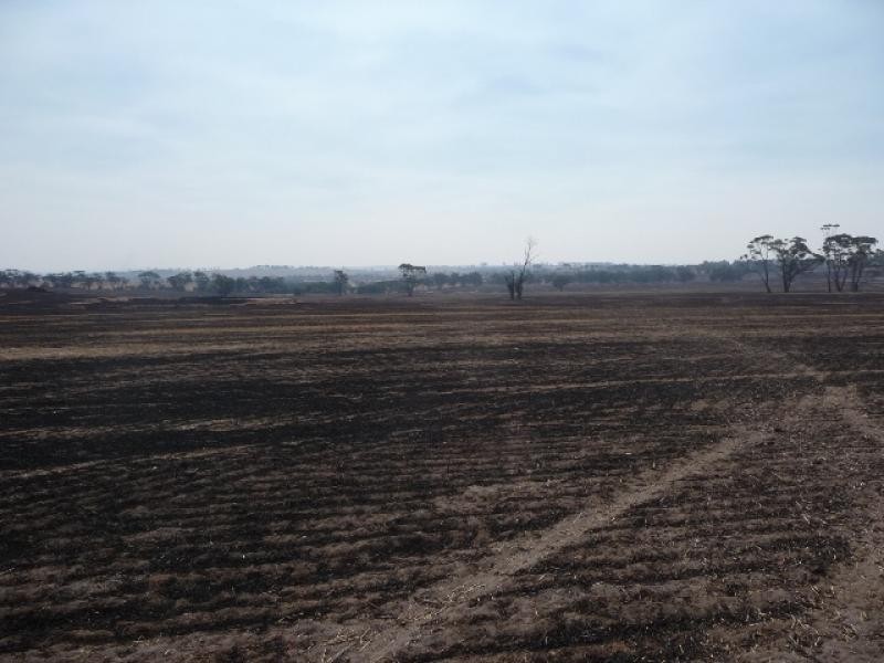 6 Marwick Road, York WA 6302