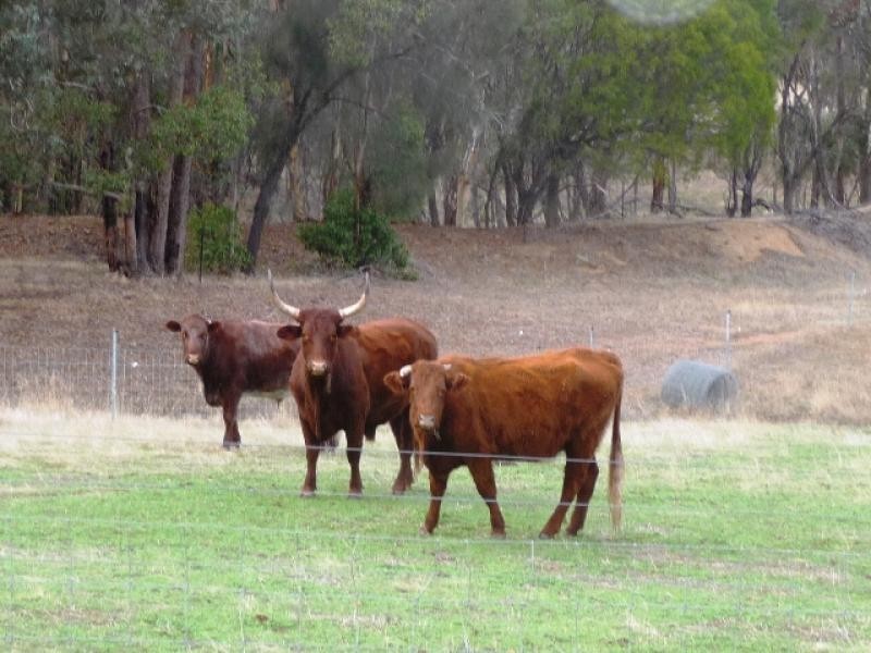 Lot 86/ Butchers Road, Beverley WA 6304