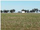 Lot 41/ Knotts Road, York WA 6302