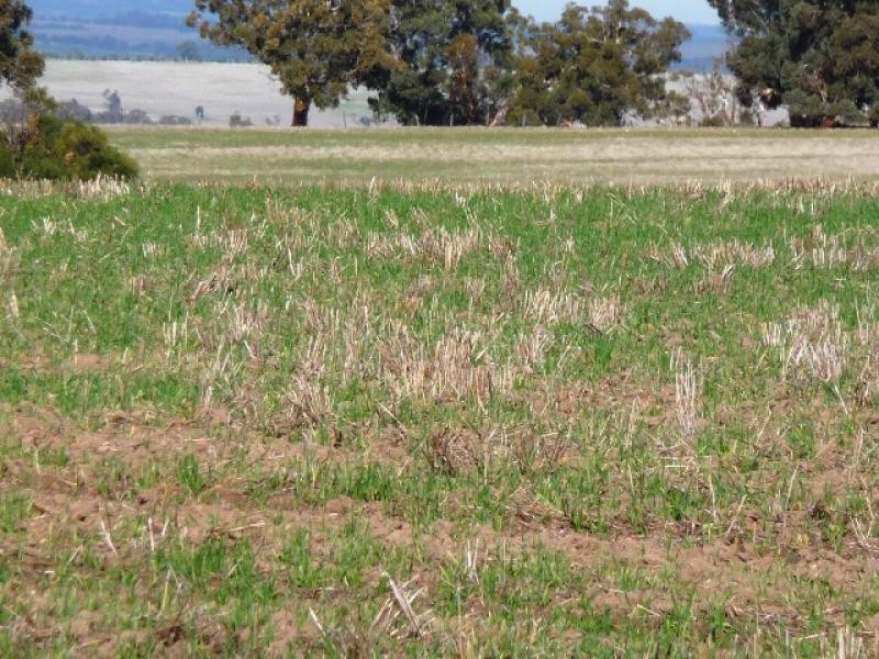 Lot 41/ Knotts Road, York WA 6302