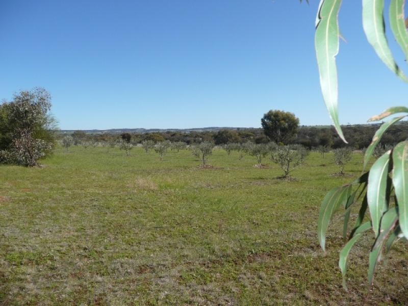 15 Foreman Road, York WA 6302