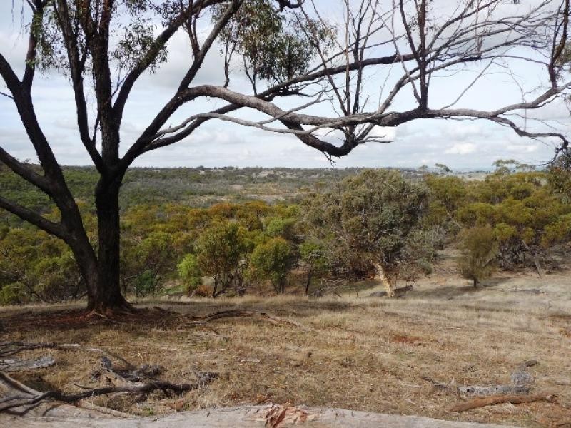 305 Qualen West Road, York WA 6302