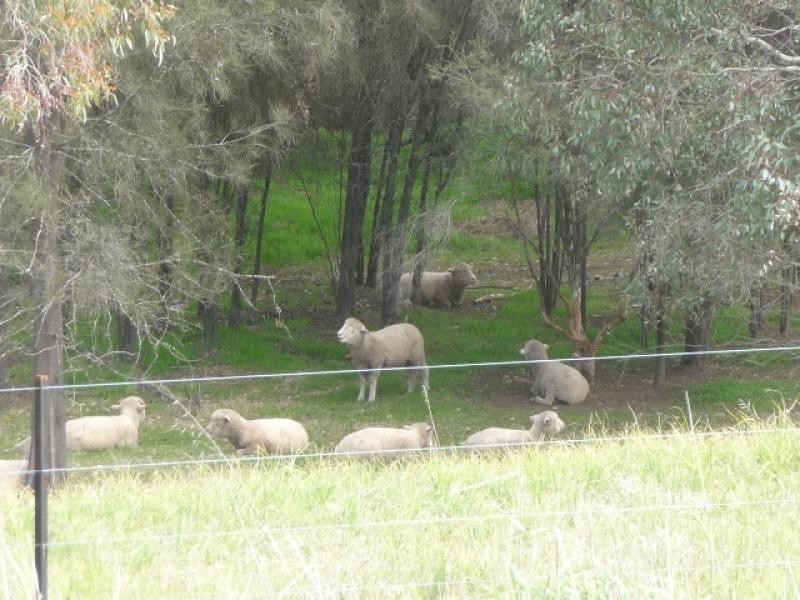 36 York Road, York WA 6302