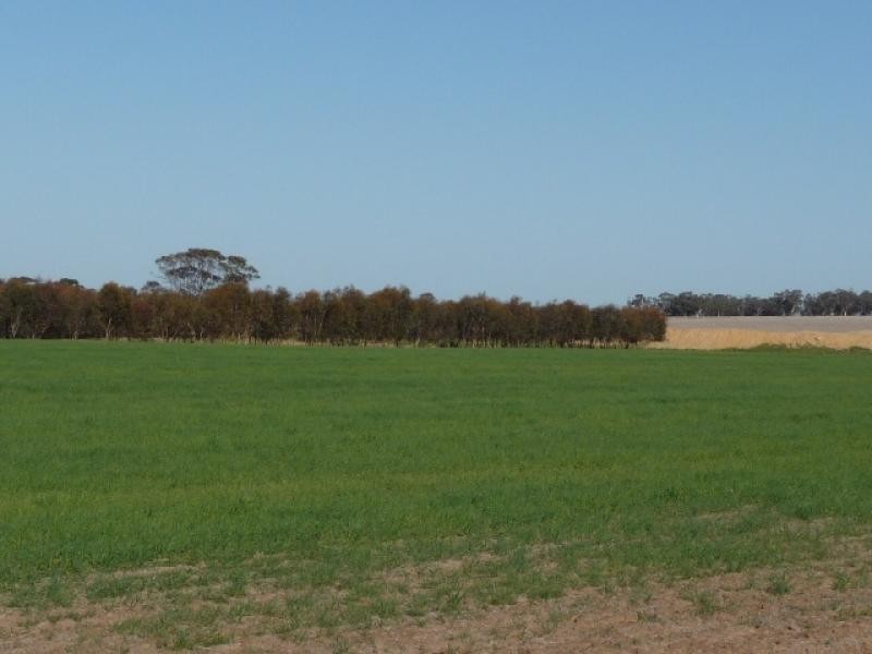 Lot 6881/ Jacobs Well Road, Beverley WA 6304