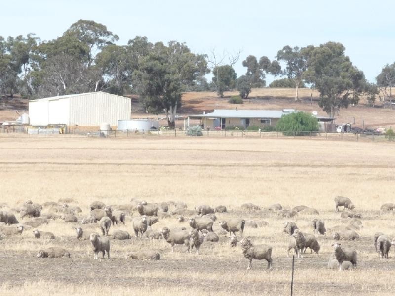 129 Tyrer Road, Brookton WA 6306