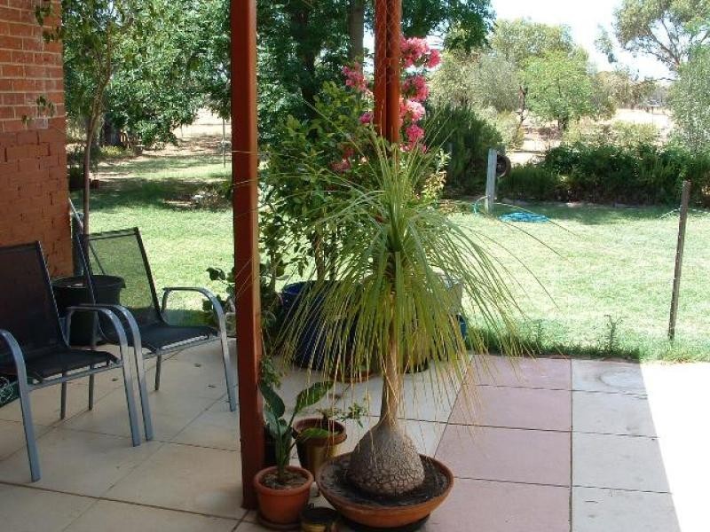 96 Lukin Street, Beverley WA 6304