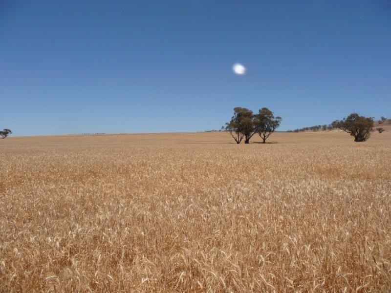 Lot 3152/ Spencers Brook Road, York WA 6302