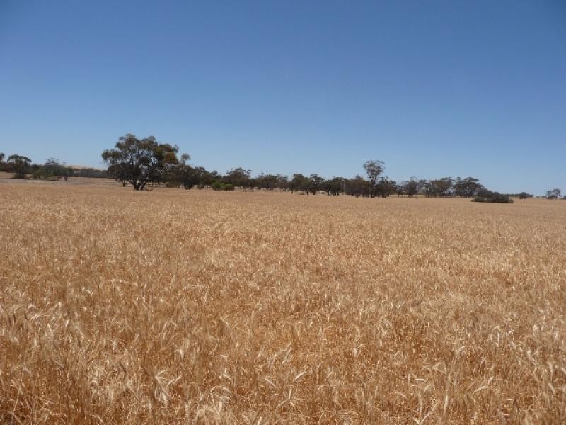 Lot 3152/ Spencers Brook Road, York WA 6302