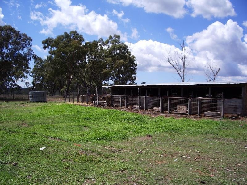 Warwick QLD 4370