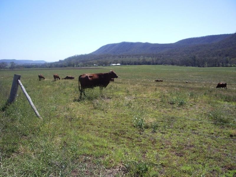 1326 Inverramsay Road, Goomburra QLD 4362