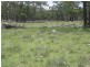 1 Warahgai Road, Karara QLD 4352
