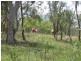 1 Warahgai Road, Karara QLD 4352