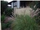 139 Grafton Street, Warwick QLD 4370