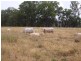 Karara QLD 4352