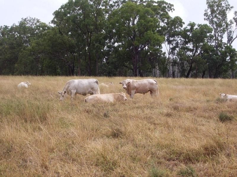 Karara QLD 4352