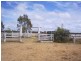 Karara QLD 4352
