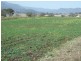 1 Inverramsay Rd, Goomburra QLD 4362