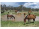 Pikedale QLD 4380