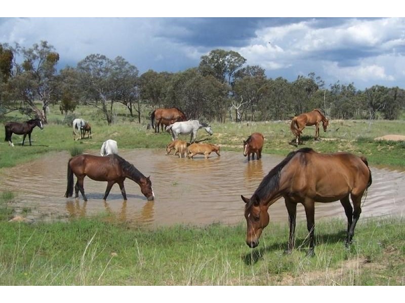 Pikedale QLD 4380