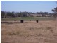 Yangan QLD 4371
