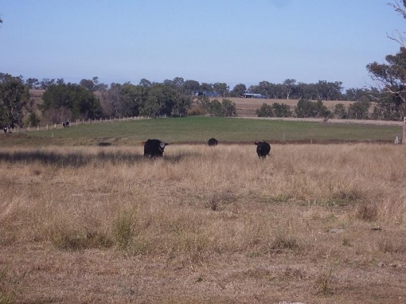 Yangan QLD 4371