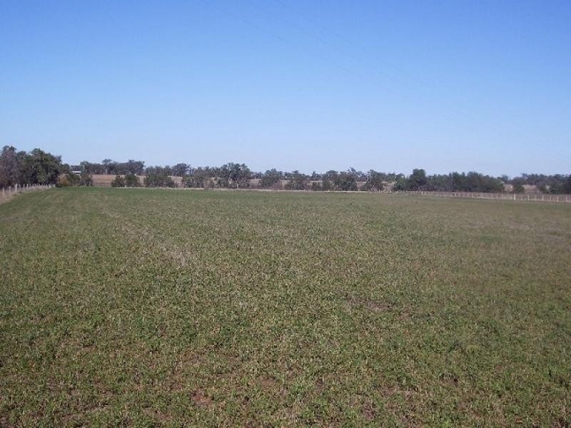 Yangan QLD 4371