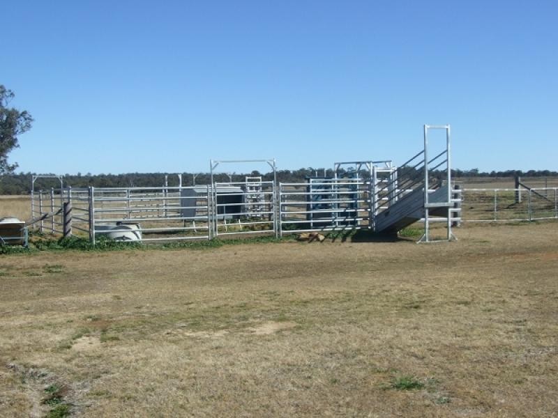 Yangan QLD 4371