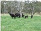 Goomburra QLD 4362