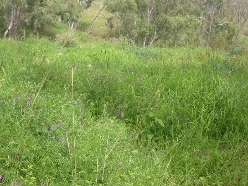 Goomburra QLD 4362