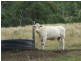 Goomburra QLD 4362