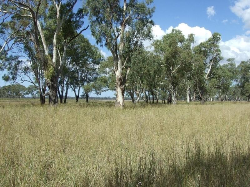 Warwick QLD 4370