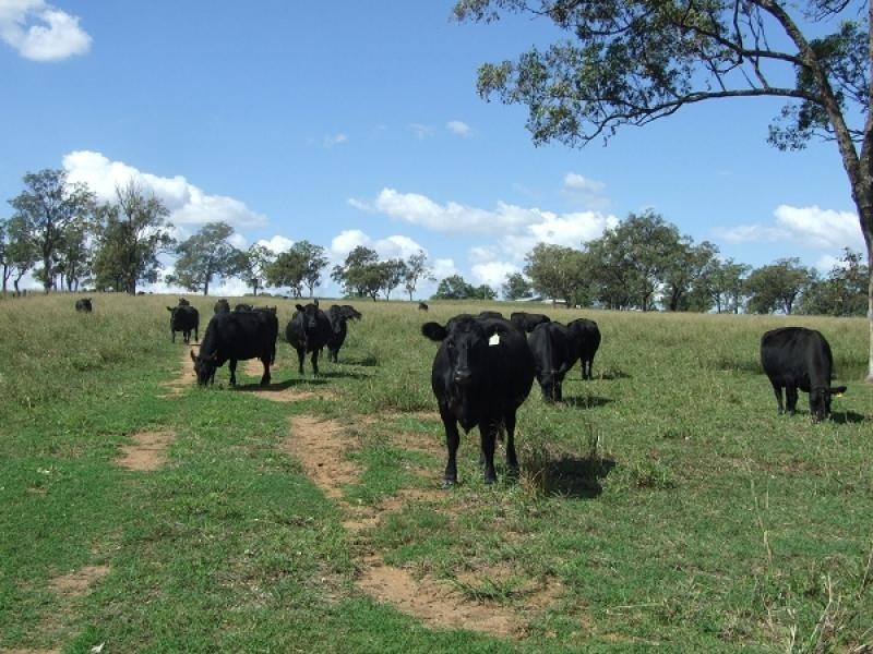Warwick QLD 4370