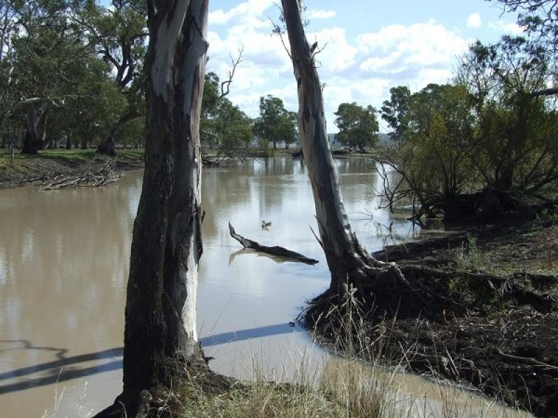 Warwick QLD 4370