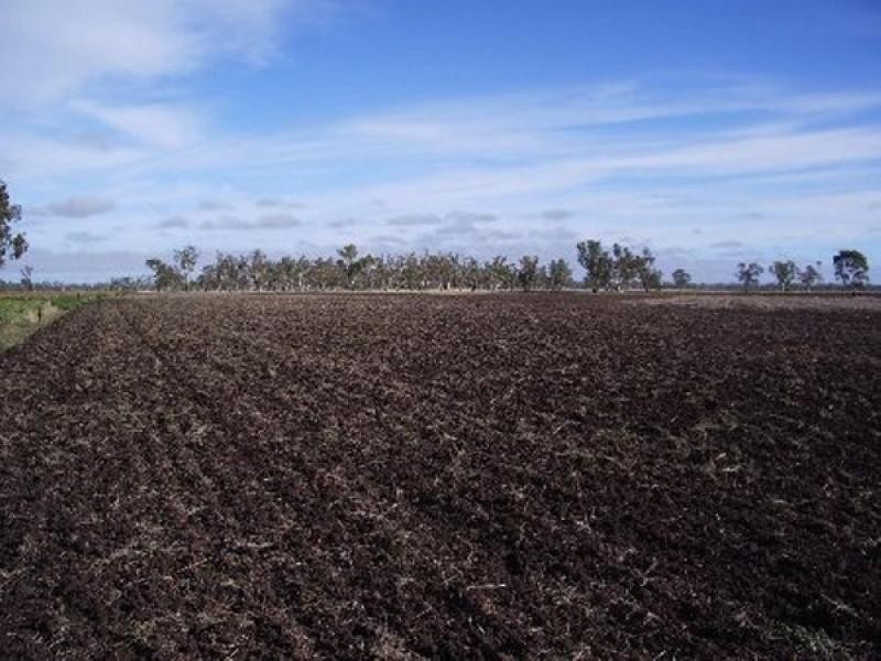 Warwick QLD 4370