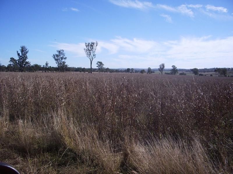Warwick QLD 4370