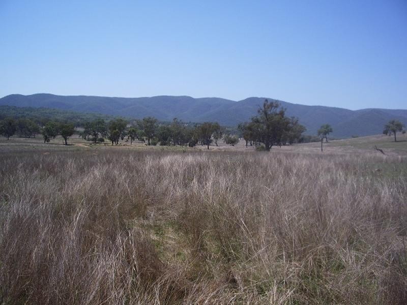 Texas QLD 4385