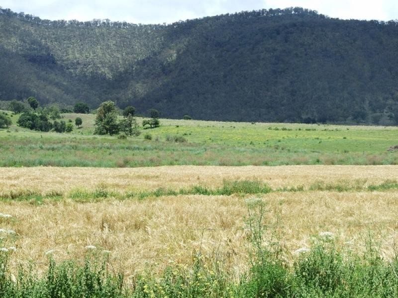 874 Top Swanfels Rd, Swanfels, Warwick QLD 4370