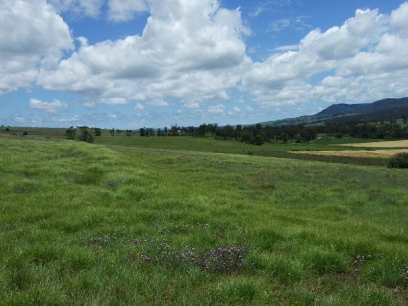 874 Top Swanfels Rd, Swanfels, Warwick QLD 4370