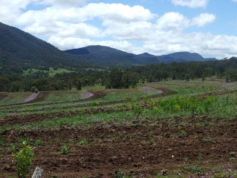 874 Top Swanfels Rd, Swanfels, Warwick QLD 4370