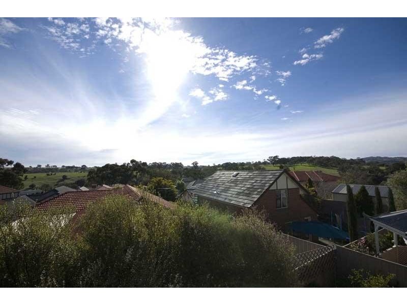 6 Pimelea Crescent, Flagstaff Hill SA 5159