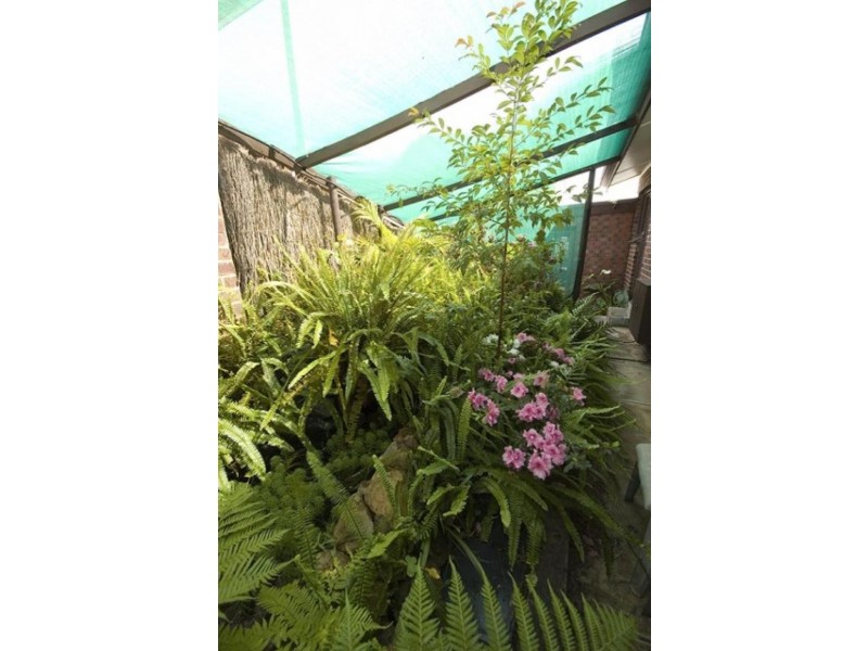 2 Caroline Street, Flagstaff Hill SA 5159