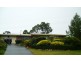 123 Homestead Drive, Aberfoyle Park SA 5159