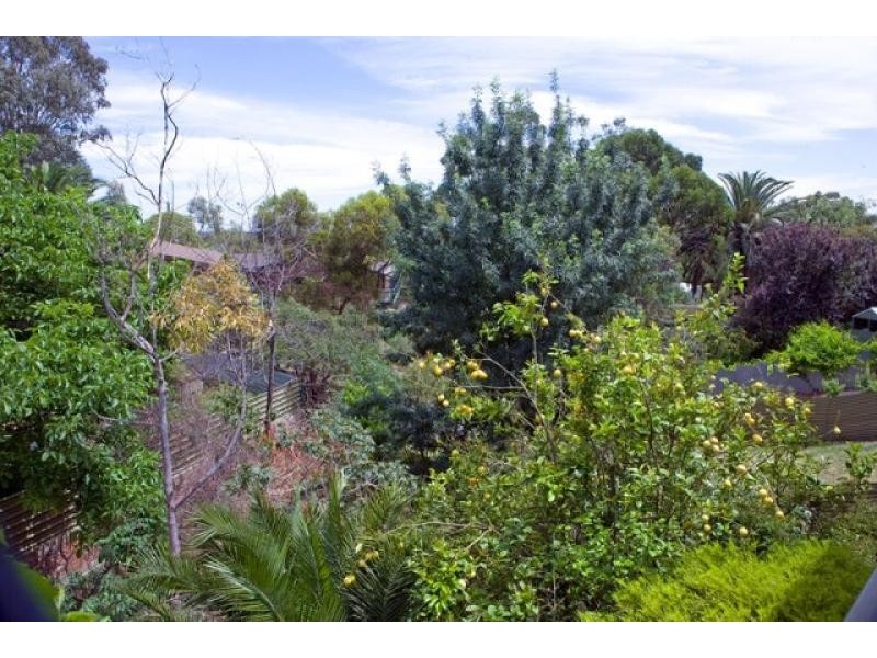 26 Milton Street, Bedford Park SA 5042