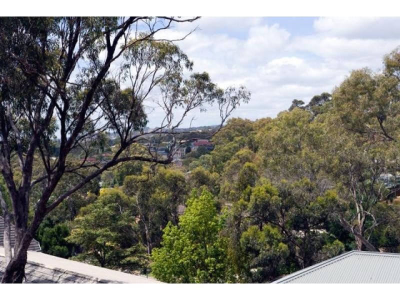 47 Greenfield Rise, Aberfoyle Park SA 5159