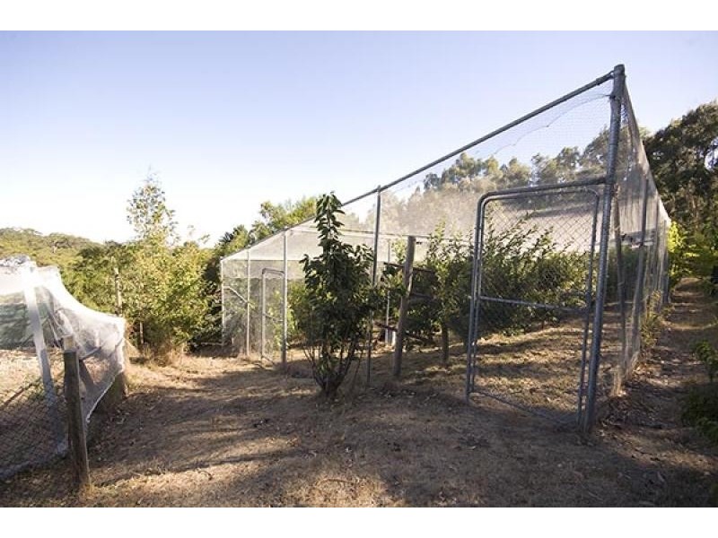 Lot 1 Milligan Road, Prospect Hill SA 5201