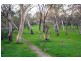 55 Booth Street, Happy Valley SA 5159