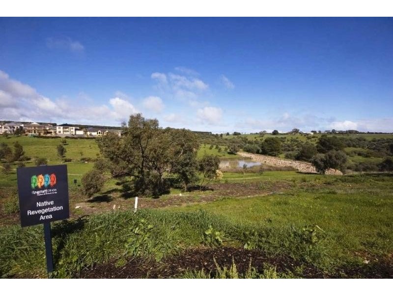 13 Lacebark Court, Flagstaff Hill SA 5159