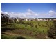 13 Lacebark Court, Flagstaff Hill SA 5159