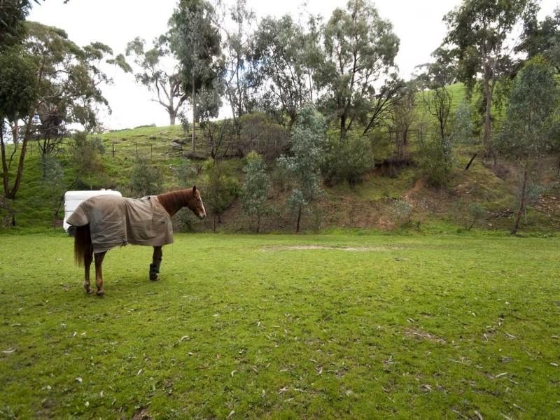 19 St Ninians Road, Clarendon SA 5157