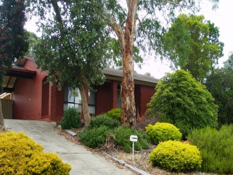 13 Pine Drive, Aberfoyle Park SA 5159